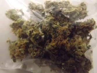 Cranberry Kush Marijuana Strain Review - In the Bag