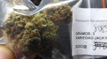 Marijuana Strain Review - Jacky White in the bag