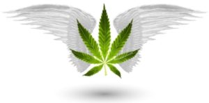 Marijuana Games Directory Page Image