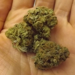 Criminal in the Hand for Strain Review