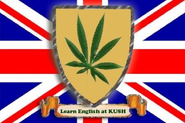 Free Spanish Lessons at the Kush Cannabis Club in Barcelona