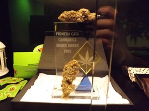 An Award for Cannabis Grown by the Smoke Green club
