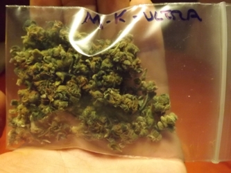 MK Ultra Strain Review - in the bag