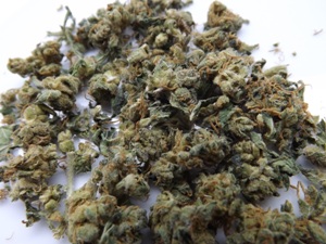 Marijuana strain review - MK Ultra on white background