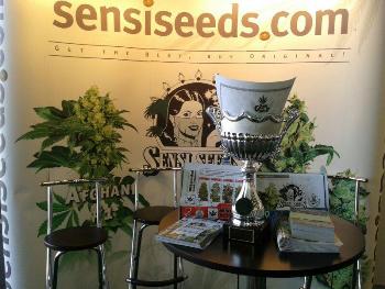 A Sensi Seeds Display at a Trade Show - 