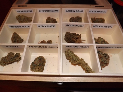 Weed selection at Betty Boop in Barcelona