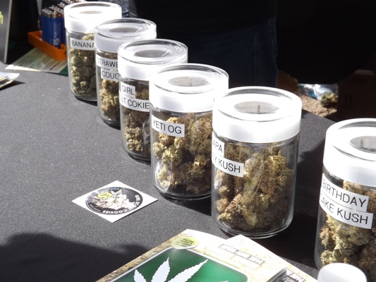 Marijuana for sale at the cannabis cup