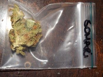 Somari Marijuana strain sold by Reefer Coffeeshop AMS