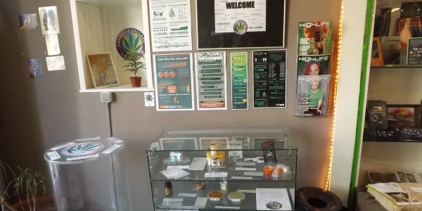 Materials at the entrance to the Cannabis College