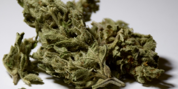 Low quality image of Somango cannabis strain