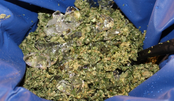 Ice and weed in BubbleBagDude filter bag