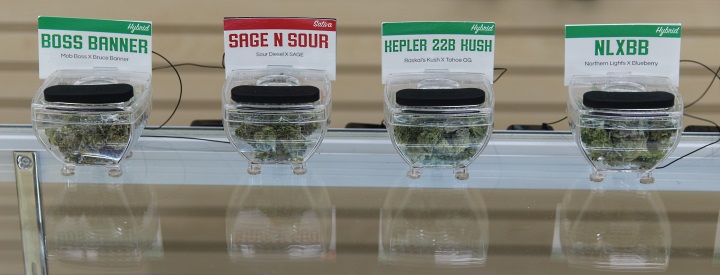 Green Dragon marijuana display cases