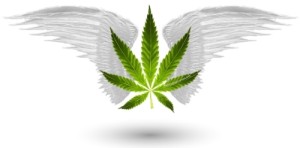 Marijuana Games Home Page Image
