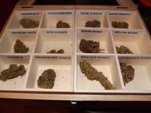 Betty Boop marijuana varieties