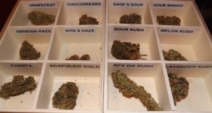 How to get marijuana in Barcelona Spain - the weed tray at Betty Boop