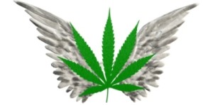 Playable Online Marijuana Games & Potlitical Blog