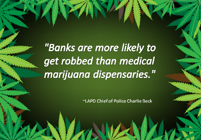 LAPD Chief of Police Quote about Marijuana Robberies