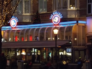 Bulldog in Leidsplein - across the square