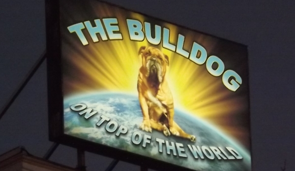 Feature Image for Amsterdam Coffeeshop Review of Bulldog in Leidsplein