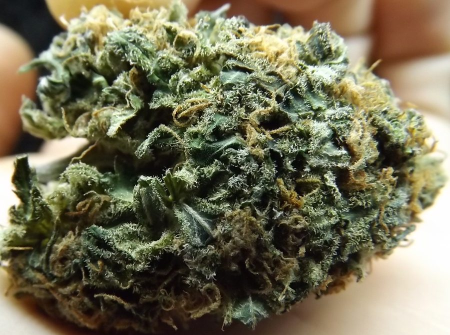 Feature image for the Nuken marijuana strain review