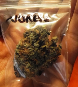 Nuken in the bag