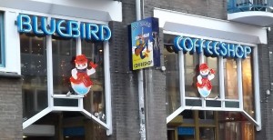 Feature Image for Amsterdam Coffeeshop Review of Bluebird
