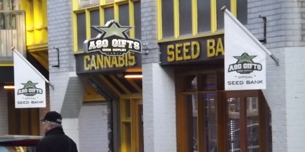 Feature image for review of ASG seed bank in Amsterdam