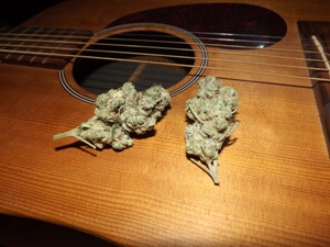 Martin Guitar and Violator Kush