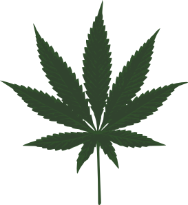 Marijuana Facts pot leaf image