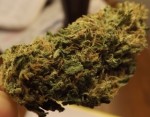 Marijuana Strain Review: Deep Chunk | Marijuana Games, Reviews ...