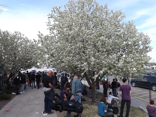 The outside smoking area at the Cannabis Cup