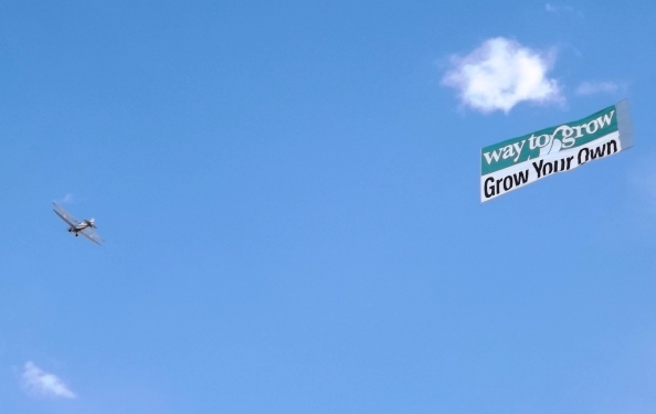 Sky Ads at the Cannabis Cup