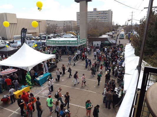 High in the Crows Loft at the Cannabis Cup