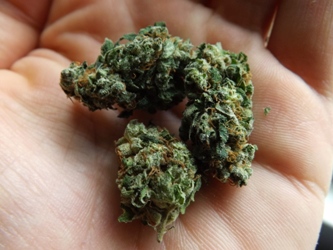 sour diesel taste