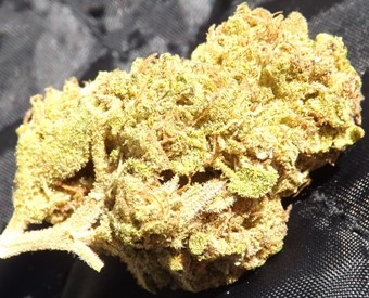 Platinum OG closeup no 4