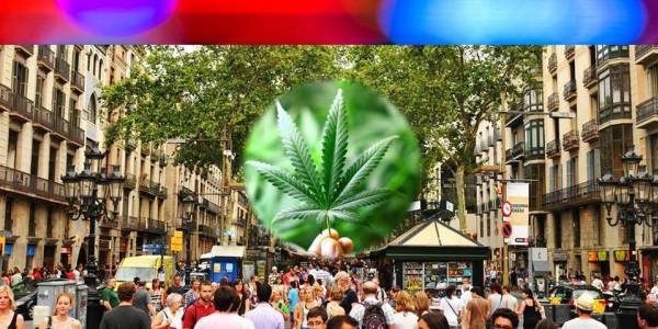 Feature Image - Barcelona Cannabis Clubs Under Attack