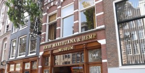 Feature Image Hash Marihuana Hemp Museum Amsterdam