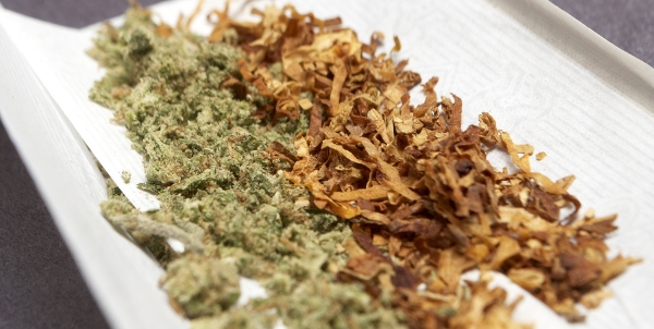 Most Europeans Mix Tobacco with Marijuana