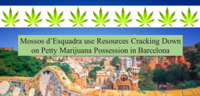 Feature Image for BCN Petty Marijuana Possession Article - Edited