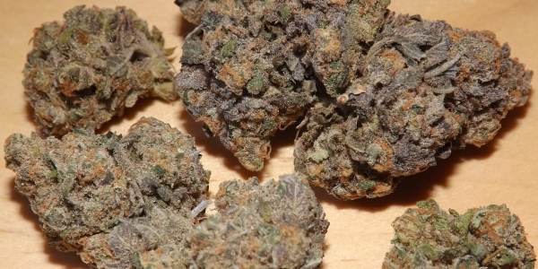 Feature Image for Huckleberry marijuana strain review