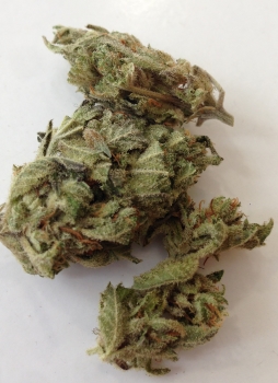 Vertical image of Somango weed