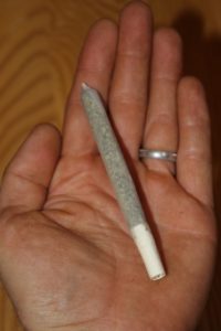 Hudson joint in the hand