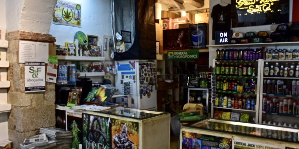 Counter at Santa Maria Grow Shop Barcelona