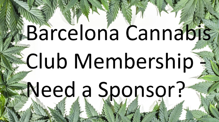 Barcelona cannabis Club Sponsorship offer