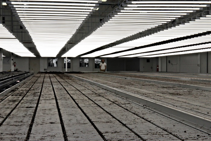 Maine Hemp Farmer Zak Lapan stands in empty 10000 sqf hemp production center