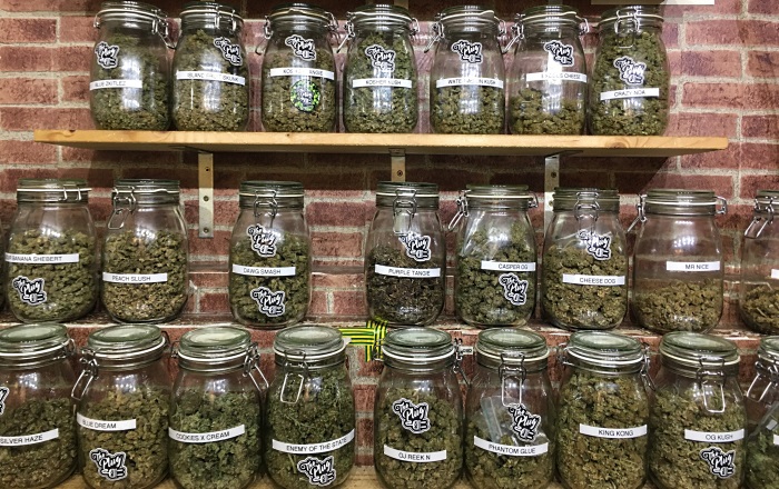 Cannabis Selection at The Plug Social Club Barcelona