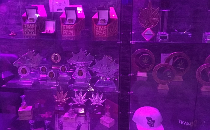 Cannabis Trophy Awards won by The Plug BCN