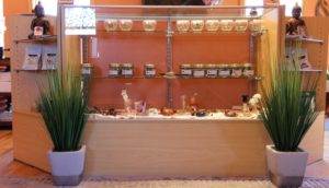 Front counter with plants at Sensi Sensei Maine Marijuana DIspensary