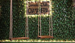 Swings at Chamaneria Cannabis Club in Barcelona Spain