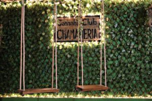Join the Barcelona cannabis Club Chamaneria